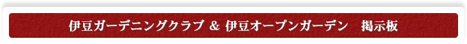 伊豆ガーデニングクラブ＆伊豆オープンガーデンの掲示板