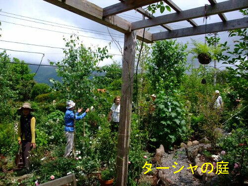 箱根の会員庭巡り バスツアー 伊豆オープンガーデン 伊豆ガーデニングクラブ