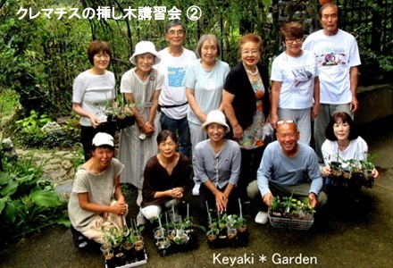 クレマチスの挿し木②