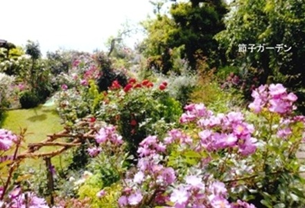 20210331112110001.増田.jpg