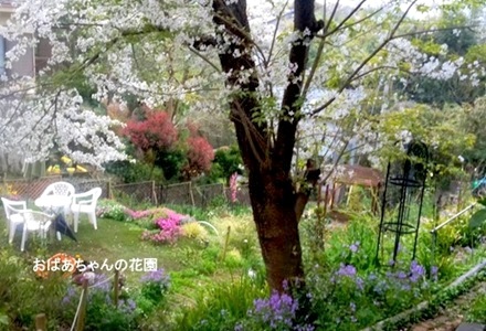 20241015141243001.jpg相原２.jpg